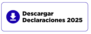 descargar declaraciones 2025